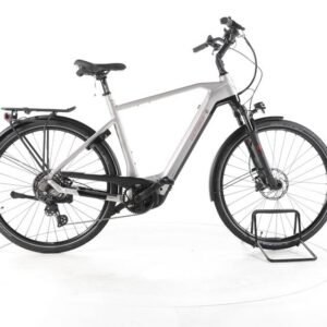 Victoria eManufaktur 12.8 Trekking E-Bike
