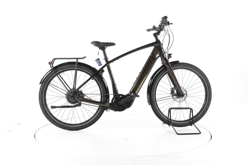 Diamant Opal Esprit+ City E-Bike