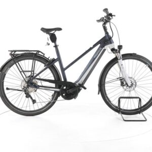Pegasus Premio Evo 10 Lite Trekking E-Bike
