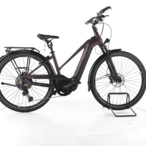 Pegasus Premio EVO 11 "40 Years" Trekking E-Bike