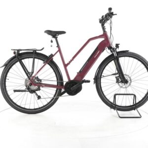 Raleigh Kent 9 Trekking E-Bike
