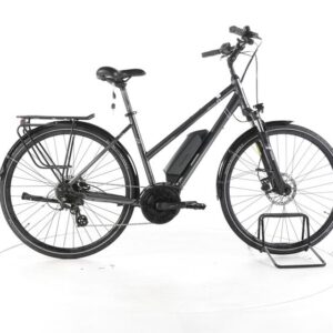 Triumph E-Bird Ultra Trekking E-Bike
