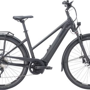 E-Bike  - Pegasus Premio EVO 10 Lite trapez   - 50 cm