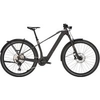 BULLS SONIC SX DAKAR - 29 Zoll 400Wh 12K Diamant - monza grey / UD carbon