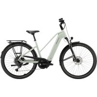 PEGASUS Solero EVO 10 - 28 Zoll 800WH 10K Trapez - sage