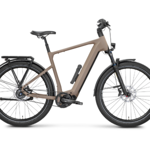 Rose Mayor Plus 2
