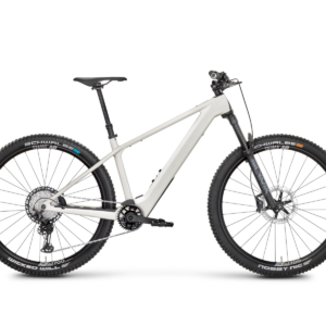 Rose Bonero Plus 2