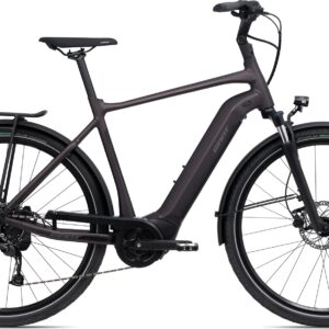 Giant DailyTour E+ 3 GTS - 2024 - S