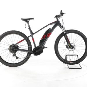 R Raymon HardRay E 3.0 E-Bike