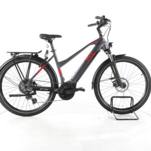 R Raymon TourRay E 6.0 Trekking E-Bike