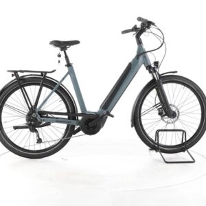 Winora Sinus 9 Trekking E-Bike Tiefeinsteiger