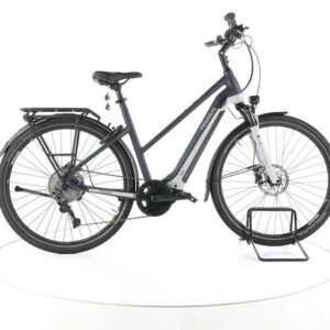 Pegasus Premio EVO 10 Lite Trekking E-Bike