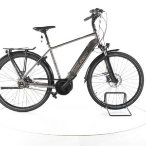 Raleigh Kent Premium City E-Bike