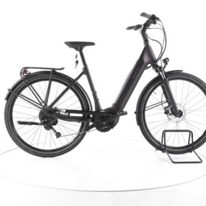 Giant DailyTour E+ 3 Trekking E-Bike Tiefeinsteiger