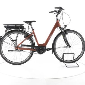 BBF Genf Plus City E-Bike Tiefeinsteiger