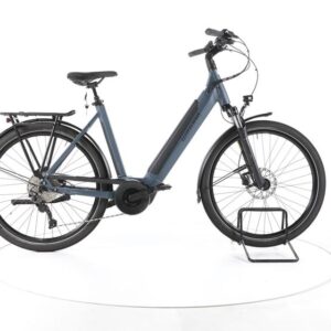 Winora TB300 Trekking E-Bike Tiefeinsteiger