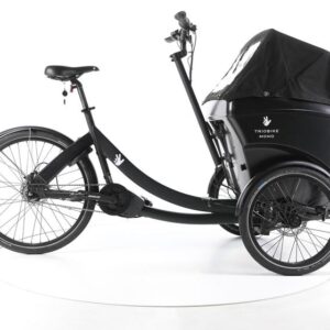 Triobike Mono E E-Lastenrad