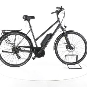 Triumph E-Bird Ultra 500 Trekking E-Bike