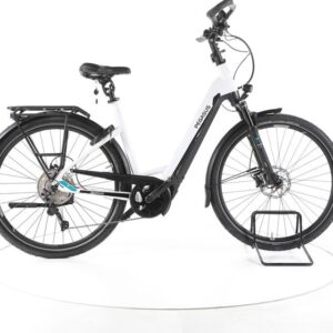 Pegasus Premio Evo 10 Lite Comfort Trekking E-Bike Tiefeinsteiger