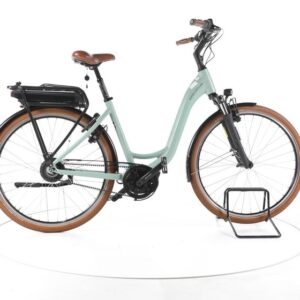 Riese & Müller Swing Vario City E-Bike Tiefeinsteiger