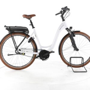 Riese & Müller Swing Rücktritt City E-Bike Tiefeinsteiger