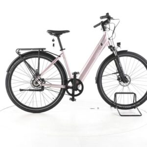 TENWAYS CGO800s City E-Bike Tiefeinsteiger 2024