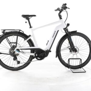 Pegasus Premio Evo 11 "40 Years" Trekking E-Bike Tiefeinsteiger