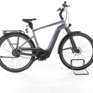 Pegasus Premio EVO NV Lite City E-Bike