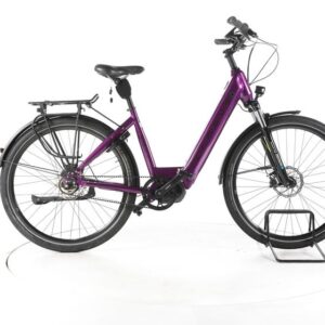 Campus SM 18 City E-Bike Tiefeinsteiger