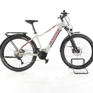 Axess Force WS Allroad Trekking E-Bike