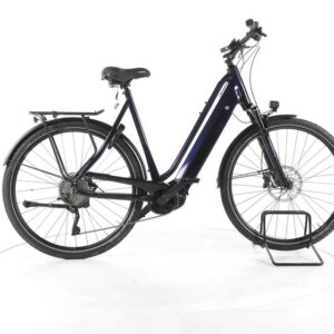 FALTER E 9.8 KS Plus Trekking E-Bike Tiefeinsteiger