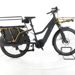 Riese & Müller Multicharger3 Mixte FAMILY E-Lastenrad