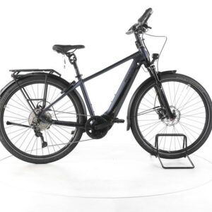 Pegasus Premio EVO 10 Lite Trekking E-Bike