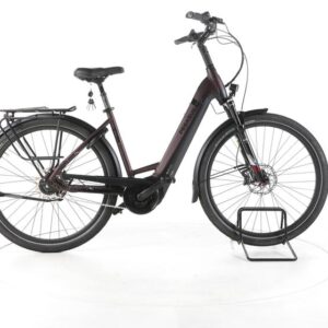 Pegasus Strong EVO 5F City E-Bike Tiefeinsteiger