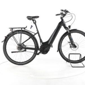 TRENGA DE SLE 10.0i City E-Bike Tiefeinsteiger