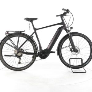 Giant DailyTour E+3 GTS Trekking E-Bike