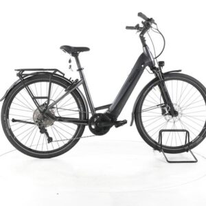 Pegasus Premio EVO 10 Lite Trekking E-Bike Tiefeinsteiger