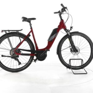 MORRISON E 6.0 Trekking E-Bike Tiefeinsteiger