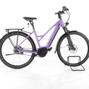 TRENGA DE GLE 10.0 i Gates City E-Bike 2025