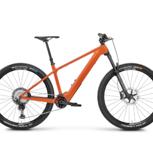 Rose Bonero Plus 2
