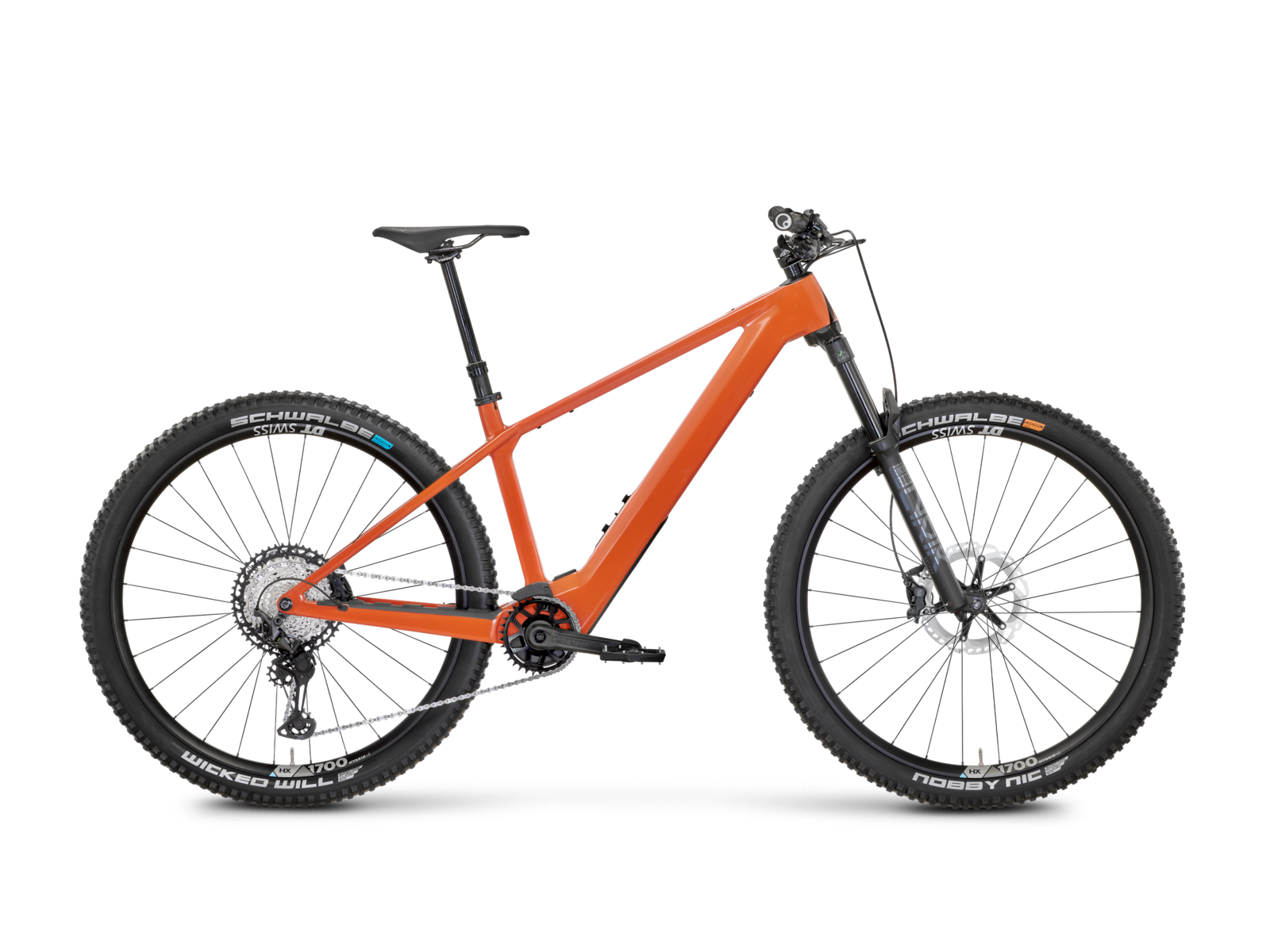 Rose Bonero Plus 2
