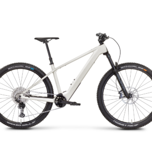 Rose Bonero Plus 1