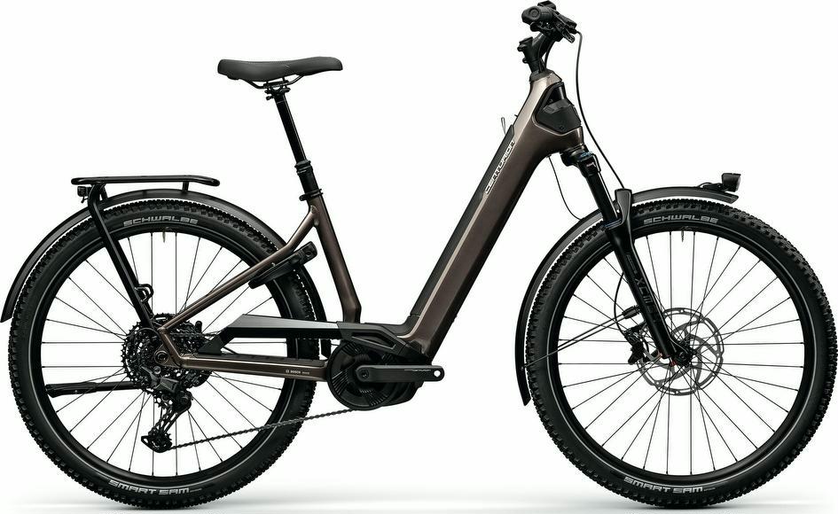 E-Bike Centurion Country R900 L 2026 L_Grau frei Haus