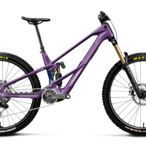 Orbea Wild LT M-LTD RS- 2027 - Royal Plum-Noctiluca C.View (Gloss) | XL