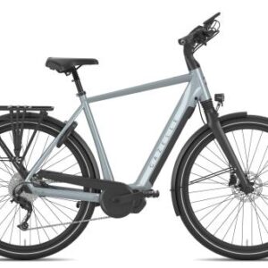 Gazelle Chamonix T10 HMS 2026 | brewster grey gloss | 53 cm | E-Trekkingräder