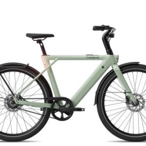 Tenways CGO009 Edition 2026 | sage green | 54 cm | E-Cityräder