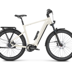 Rose Mayor Plus 2