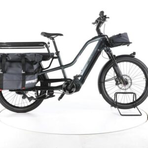 Centurion Vario R960i E-Lastenrad
