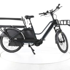TENWAYS Long Tail Duo E-Lastenrad
