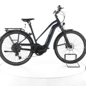 Pegasus Premio EVO 11 Lite Trekking E-Bike 2024